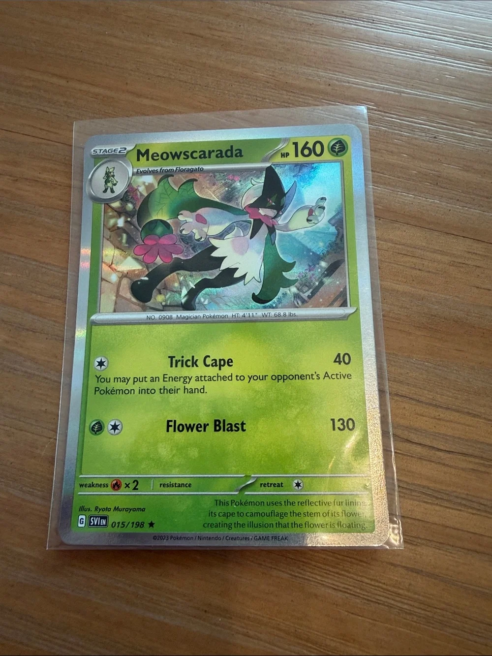 Pokemon scarlet violet